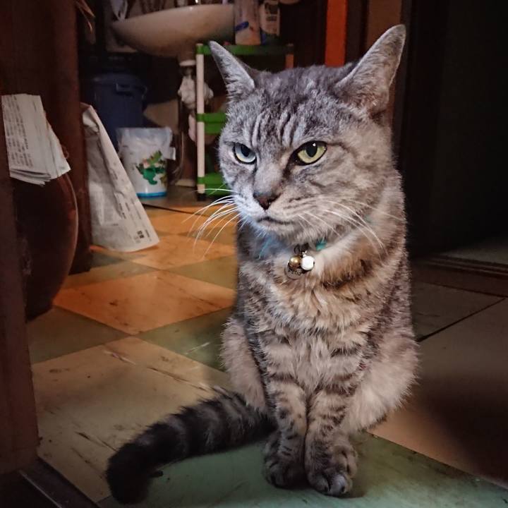 Cedc974a 40c8 4aea 80e0 806f727f2f63 1570439452613