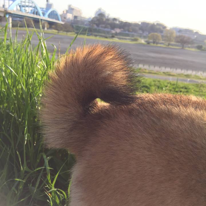 Cedc9de0 b82f 4be1 9417 556ed9f014fe 1554501526799