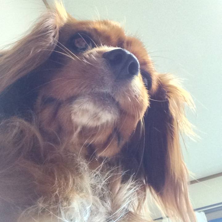 Cedca1d0 7a26 438e 94d7 9f7df2483997 1521283477493