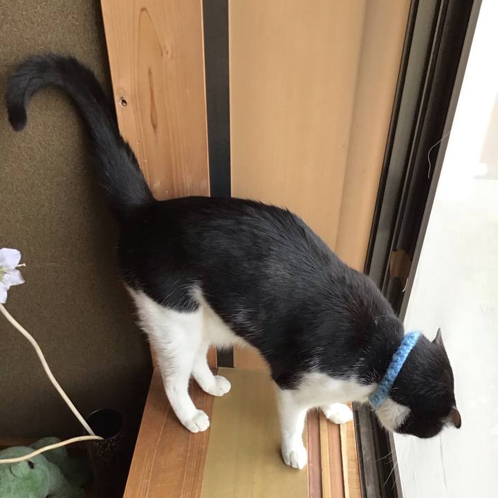 Cedcc433 f7f5 46cd b85d d110b8acb4e8 1747213544506