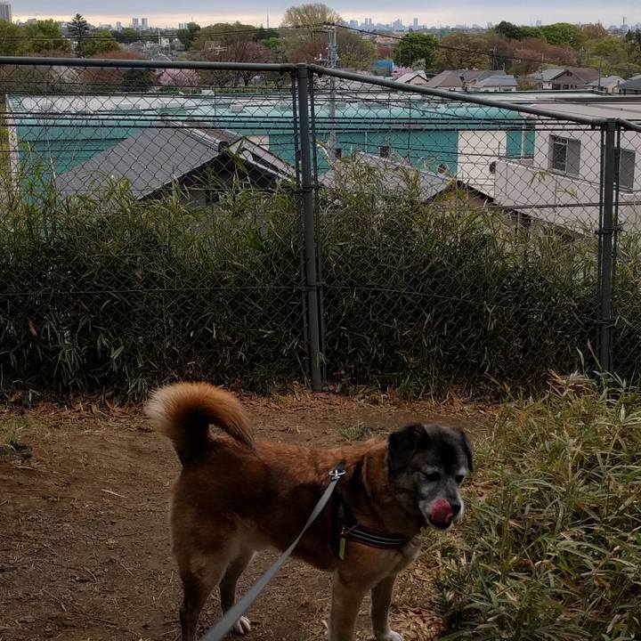 Cedcdf29 bb7a 4bdf ad2d 1617b5b562ed 1522886959828