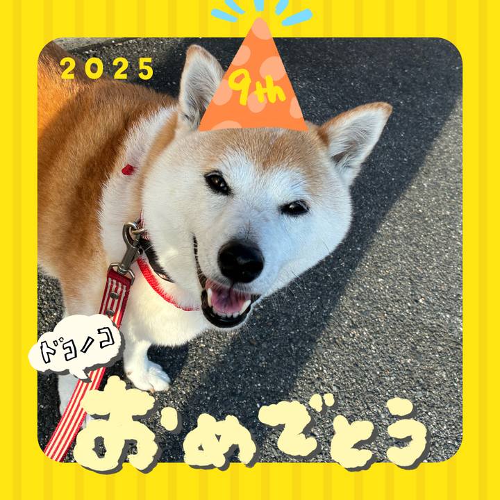 Cedd288c 12de 4f59 8226 c58d827efd86 1749160509750