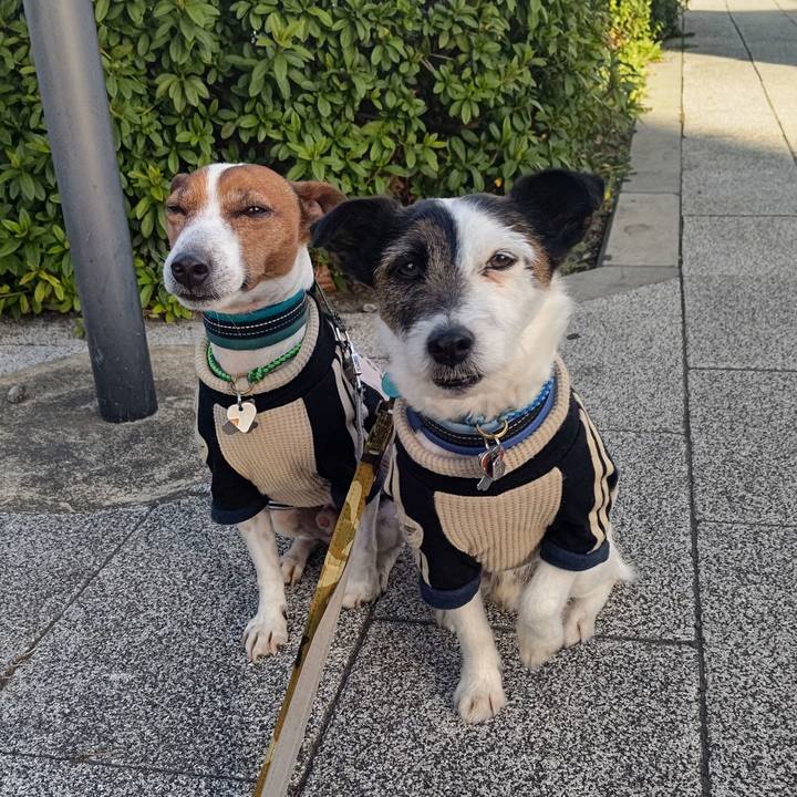 Cedd3f3e ed03 409f 9f82 24b7b71785f3 1710714909261