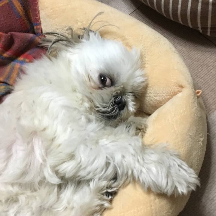 Cedd6985 29cc 44c1 bd88 35c6077bd82e 1553255801724