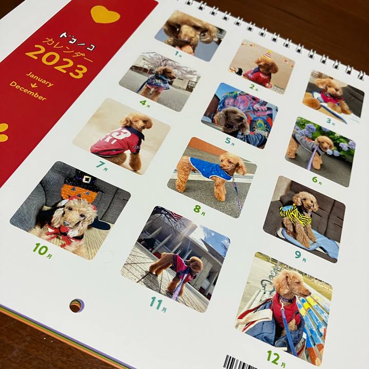 Cedd7f01 2050 43e3 a327 abbf6f9b943a 1671095410349