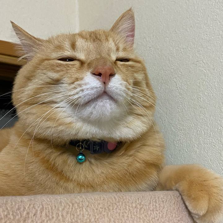 Cedd86a1 7b19 414d 9b23 1bfcbf52a36b 1620989323160