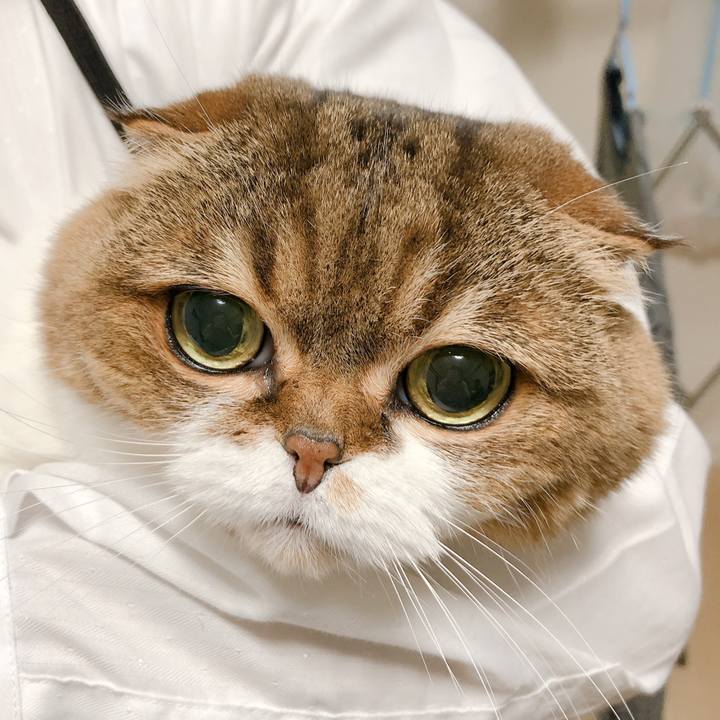 Cedd8aee d555 4171 9004 8d7c4dbc206d 1583100317138