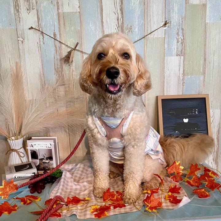 Cedd9424 b35b 4e90 982d 8089aec256cd 1763979760185