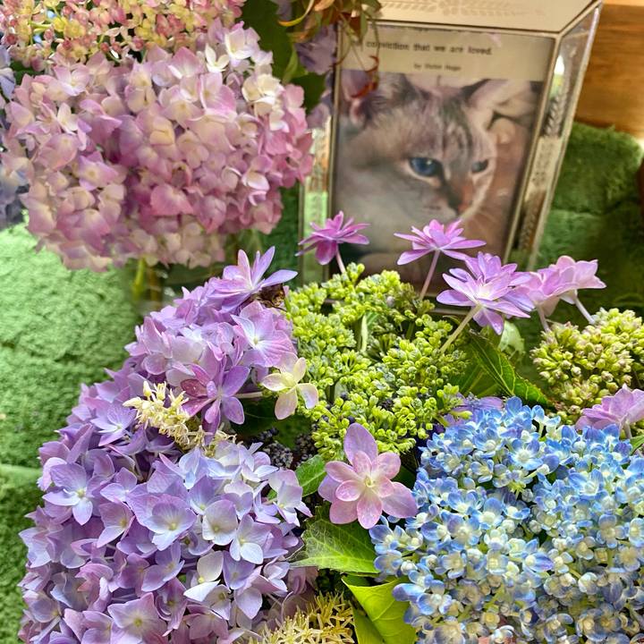 Cedda93a c8c4 48a4 9ade 70ca34ef1928 1621311454842