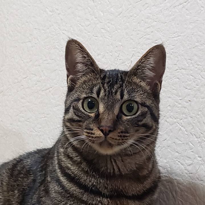 Ceddacfb 60b8 4f00 a453 f5e9164a5005 1562395607923