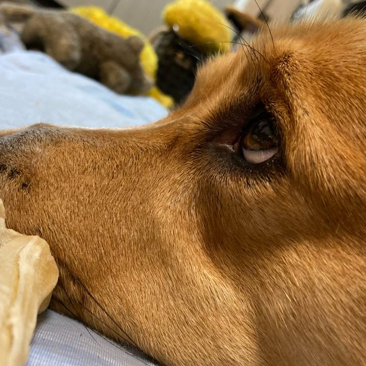 Ceddb30e f992 4aa8 8cb8 c1822be91eeb 1714521186378