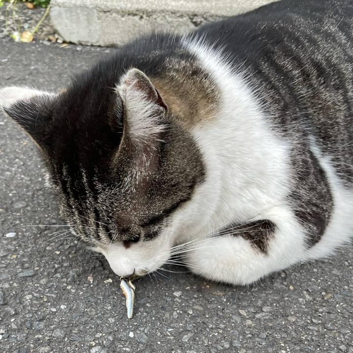 Ceddcbf8 69c4 4393 897c e65687e6cac9 1617240344892