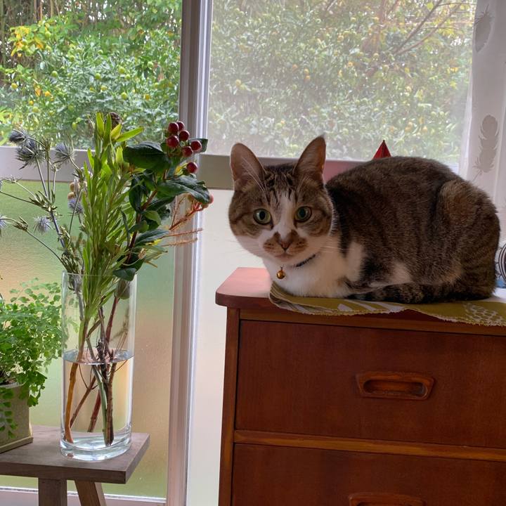 Cedde97c d2f1 4e46 8f29 358d36a9e883 1576546548718