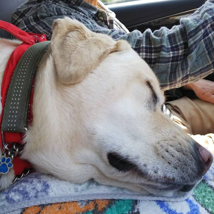 Cede30f2 84c8 473e ad5e c47f3e01919a 1582290230774