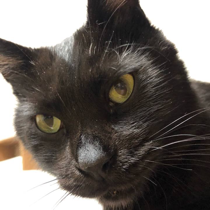 Cede5d7a af08 4e8f 86aa 7b5c2e3fddaa 1590233268947