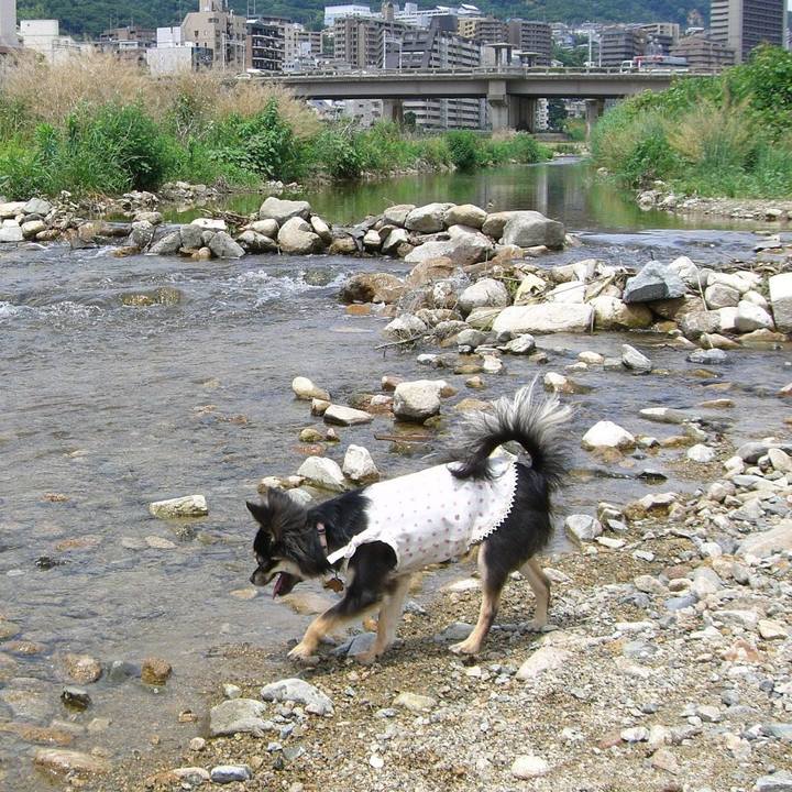 Cede6d87 d094 467e 84c5 0313f6f982dc 1626911247969