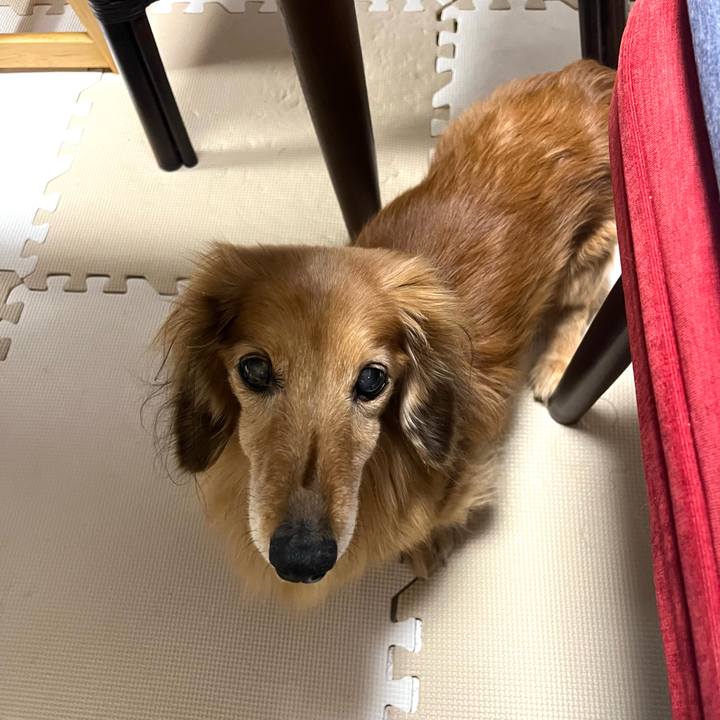 Cede750b a9f1 455b a5c4 f98d25cece27 1679663390622