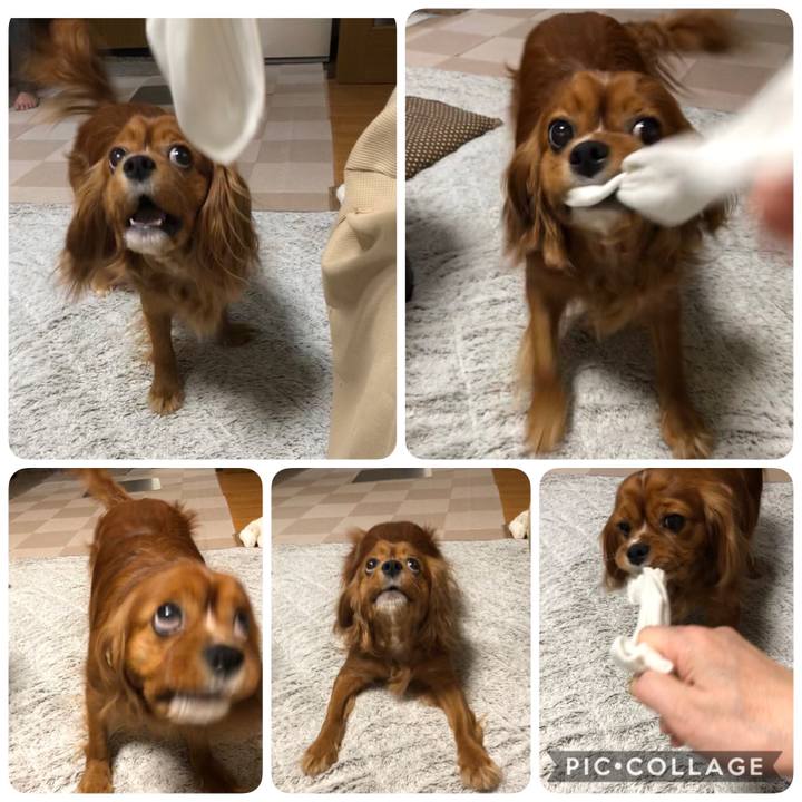 Cedebfac 005d 4e5a b43e 8bf3572d66ec 1589459517115