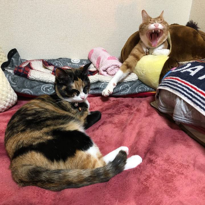 Cedef7bd 7bce 4e61 ab34 c27e61201962 1579005956266