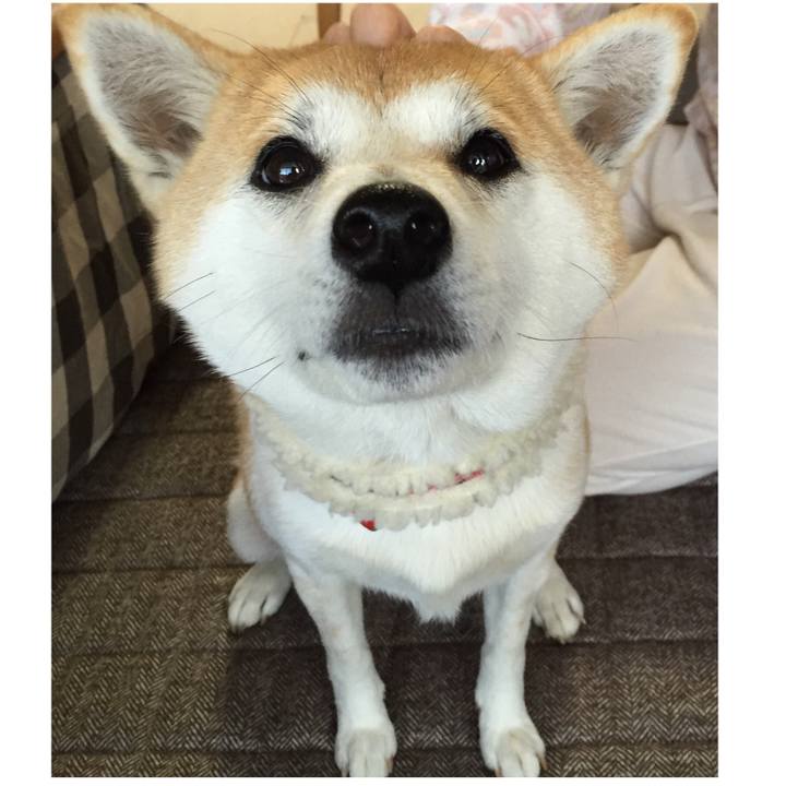 Cedf140b fa12 4896 aa2e 83b04b5dde47 1514242590345