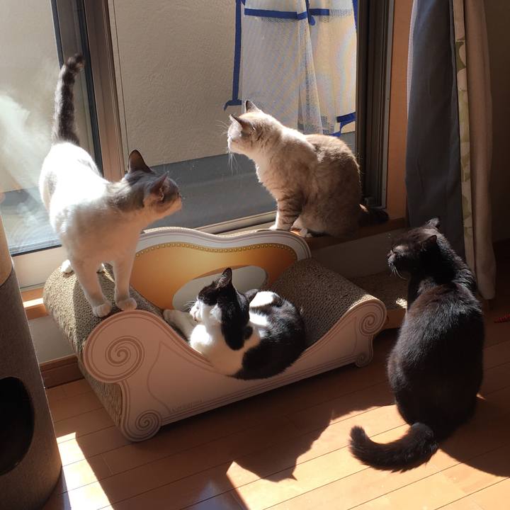 Cedf19f0 b085 45f9 8487 283b9818a179 1583460664531