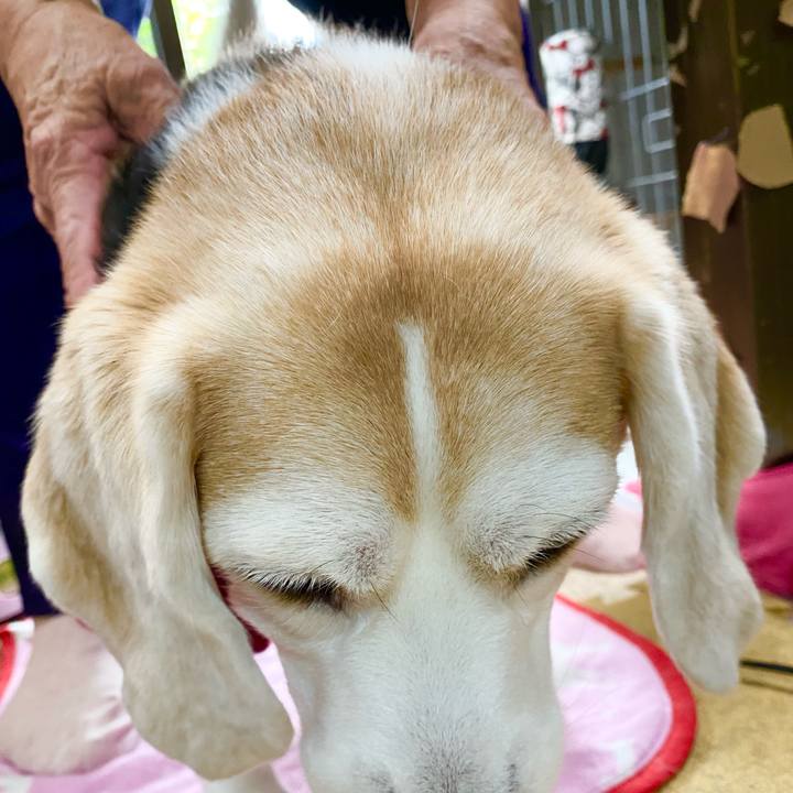 Cedf343c b162 417a 9e2f aedf4b2b10c0 1626233834380