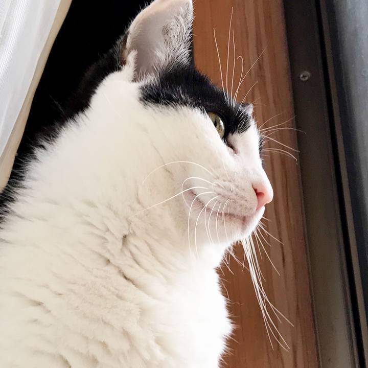 Cedf6873 639a 4704 b1d9 018dfbc27de9 1524407051497