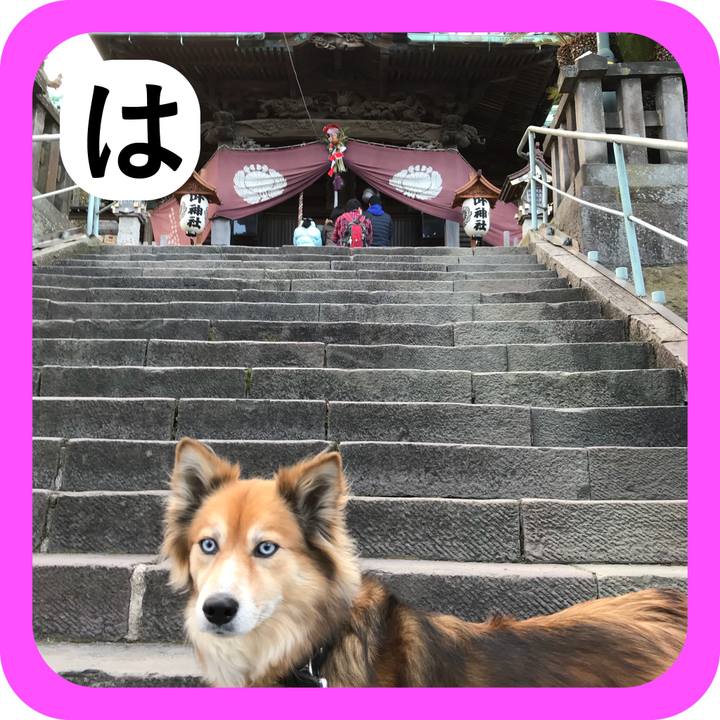 Cedf712c cc13 47b3 ba0f ec655f05ae73 1515054026515