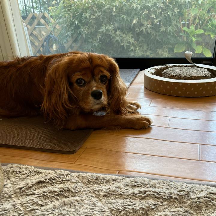 Cedf81cd ebb4 4f50 ae6e 1548038b183e 1666218621368