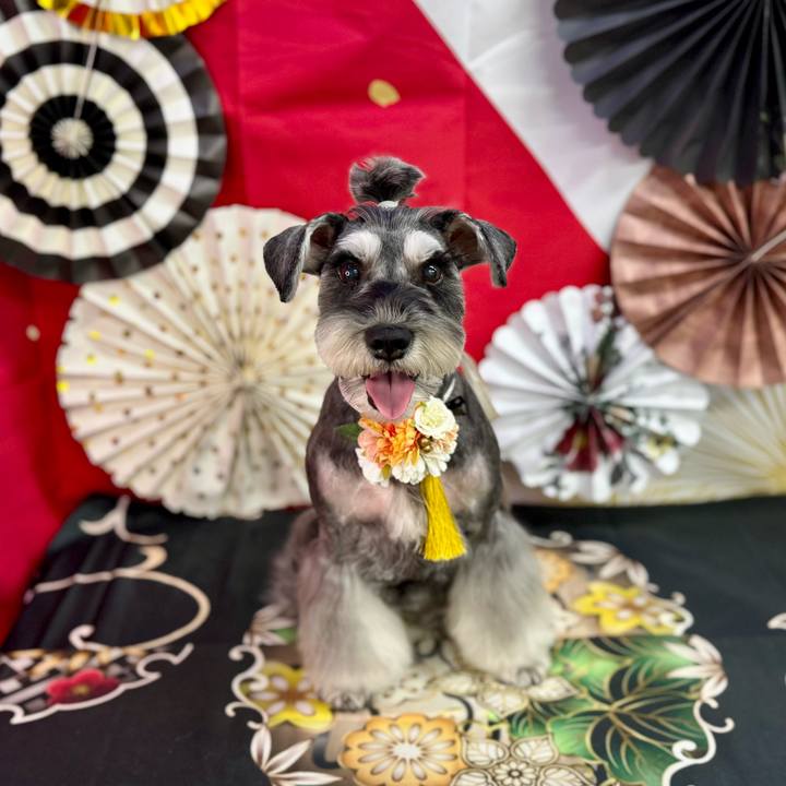 Cedf8213 2478 48b4 9642 bd32a160b9f6 1734061471375