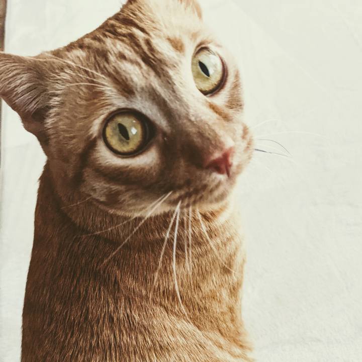 Cedf87c9 75d7 4295 b3d1 a286cb36cf56 1618201675498