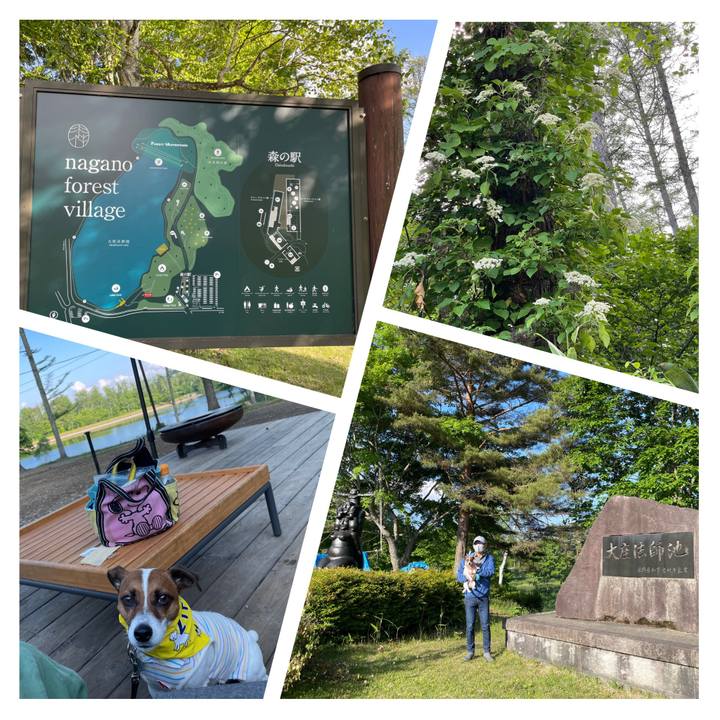 Cedfc6c7 af00 462e 8e44 1c387bbce6a2 1655473684834