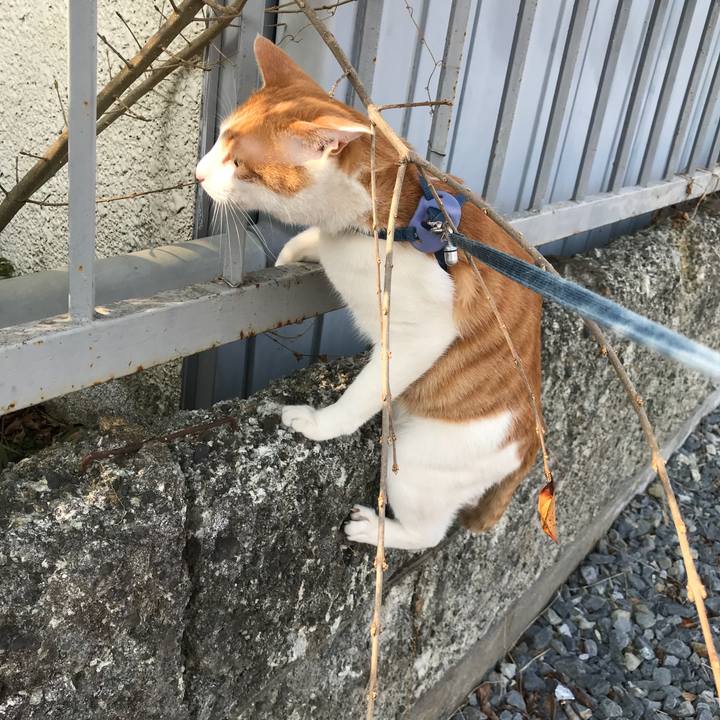 Cee004e4 ec8d 4eaf a67a 8a8de0f1df1b 1521006578179