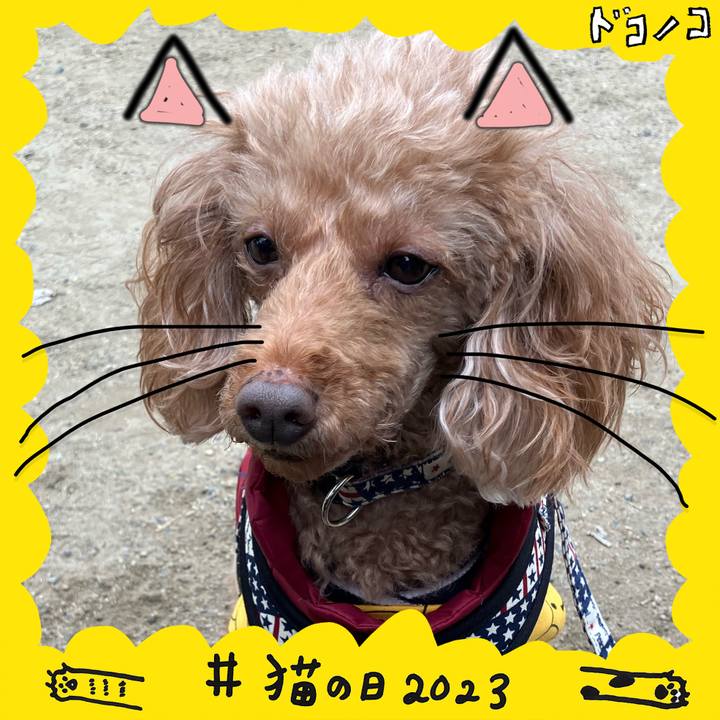 Cee02035 1ed3 41db 8240 005e91c3e3a4 1677048214322