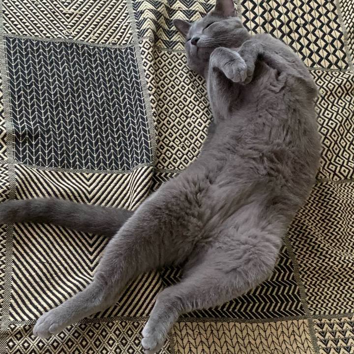 Cee055b7 a68a 4f19 9361 ac5549fe4658 1602540735983