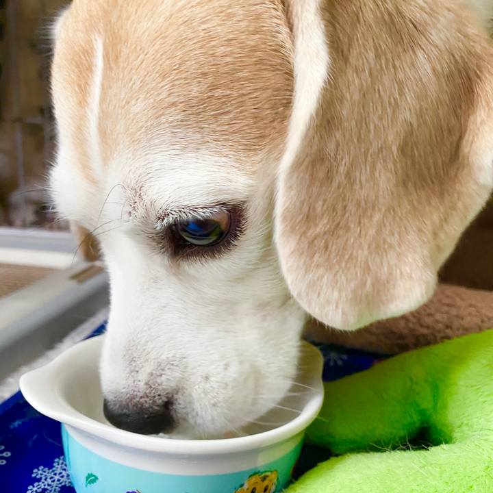 Cee05ca4 5340 4824 a2da 52fe7f25212b 1595732069245