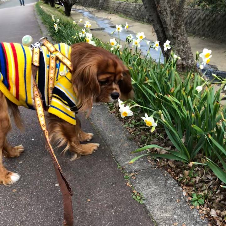 Cee05f2c e632 47ab 96af b2ad7e56e53f 1580546254886