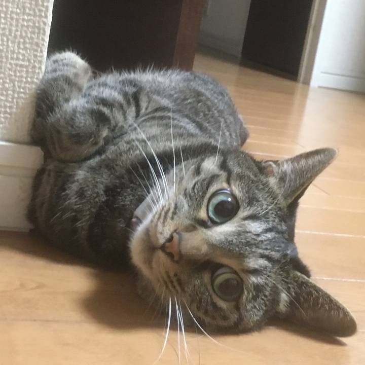 Cee07c5d 81bd 4eb4 a583 35c37fa780e8 1593952092503