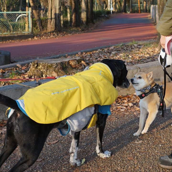 Cee0bf67 ab70 4dcc a42e 33e5157e2a1e 1767230449248