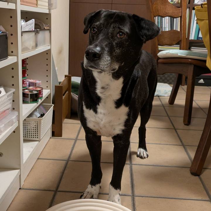 Cee0d4c3 f849 4d8b 8d45 c2fd5665f14b 1747133116850