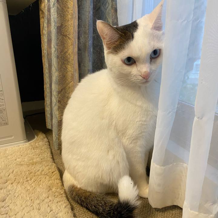 Cee114e2 9407 404c a83b 070f284283ac 1668897776251