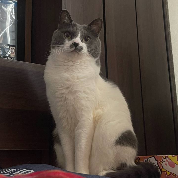 Cee1289e 6d35 4364 973b 0b7905337936 1716862770723