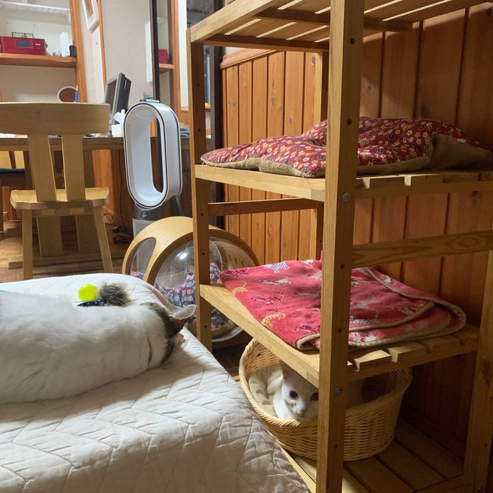 Cee136a4 c7a2 4e48 847a 10d9f1512c3f 1651230825652