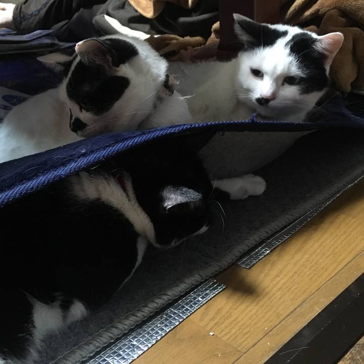 Cee14d20 f554 4ce6 be30 5337da43bfb2 1519117263758