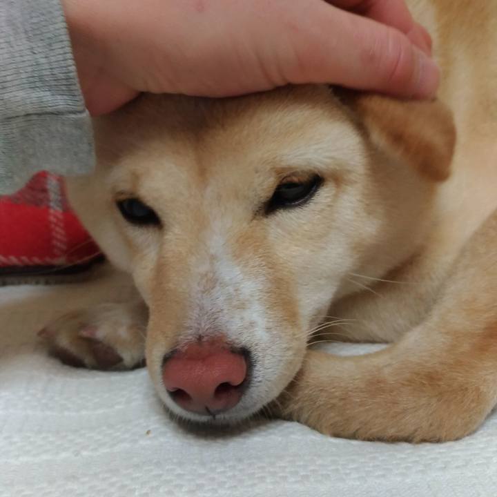 Cee178e8 1f93 4157 a4bd a4083eae71b1 1519131786361