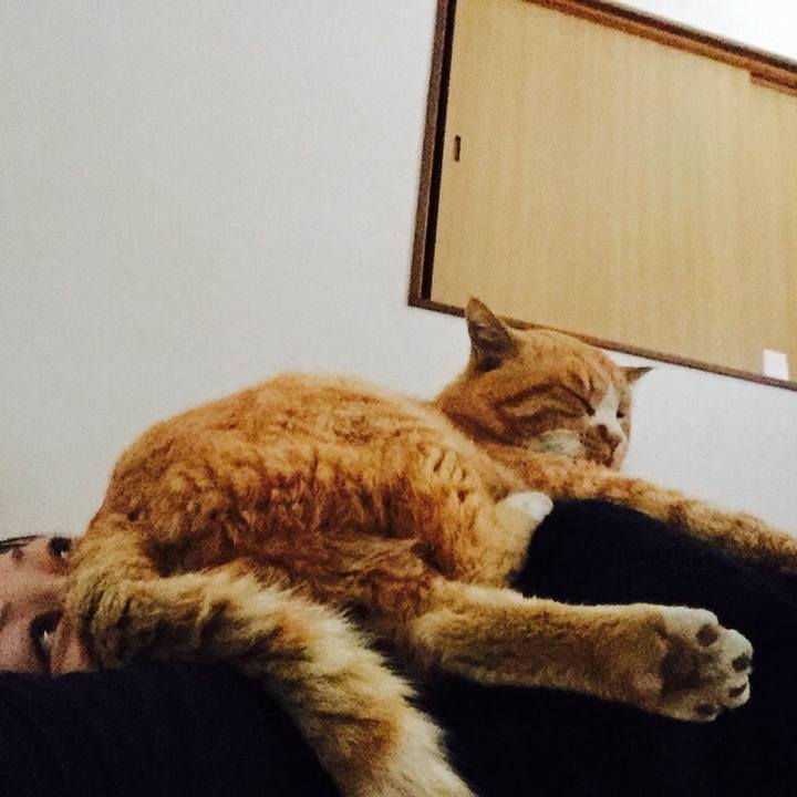 Cee19a21 1fd8 4080 a47f d92d874b7535 1529829990301