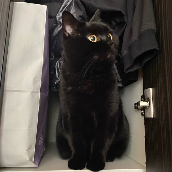 Cee1ddab 32bd 4300 81dc 8ba6f818c2ff 1764242632838