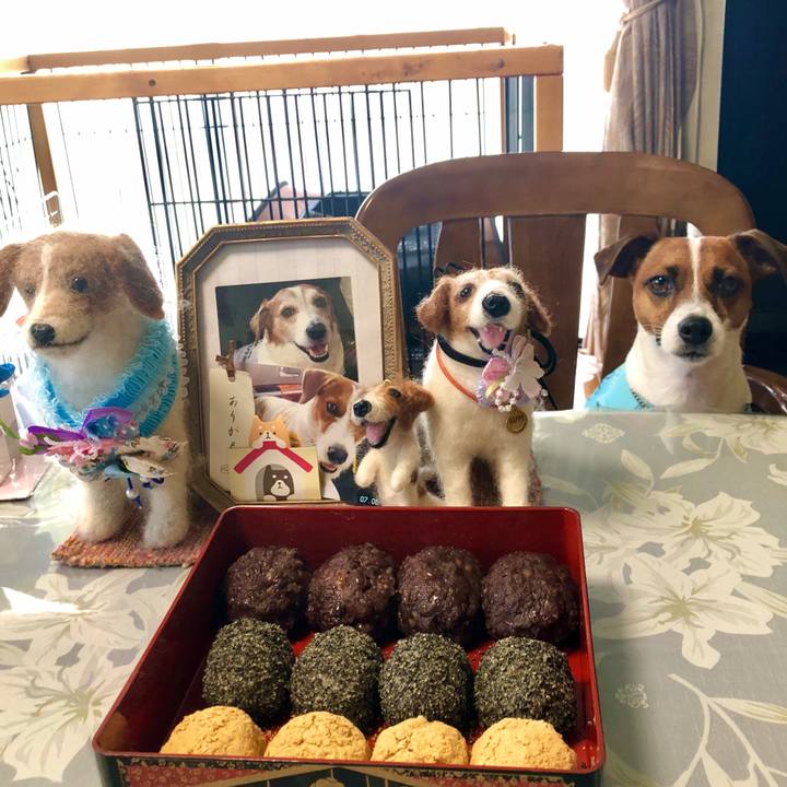 Cee216db aab9 4320 80de 74f187c712cf 1597304569218