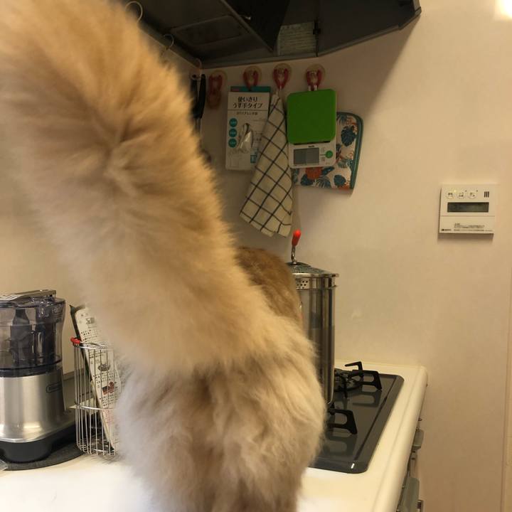 Cee21dd0 6e4e 4f0a a667 6b1ccbbdce42 1613367776699