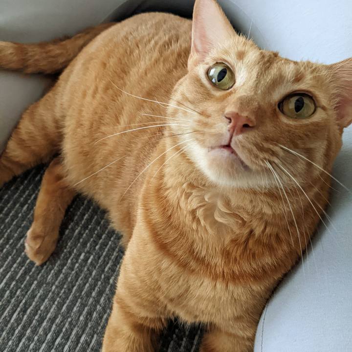 Cee2204e 2f7a 48ca 84f0 c8a440be7733 1663716958544